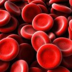 چه چیزی باعث افزایش تعداد گلبول های قرمز خون می شود؟